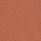 DILL TOP | TAN 6 DILL TOP | TAN - Image 6