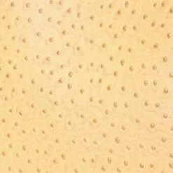 ALEC BAG | WALNUT OSTRICH EMBOSSED 7 ALEC BAG | WALNUT OSTRICH EMBOSSED -Fashion Shop STAUD ALEC BAG WALNUT FALL 23 ECOM 2 8b897917 6510 44e2 a975 610f70a71632