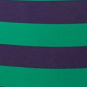 DEVON HIGH RISE BIKINI BOTTOM | CABANA STRIPE MULTI 6 DEVON HIGH RISE BIKINI BOTTOM | CABANA STRIPE MULTI - Image 6