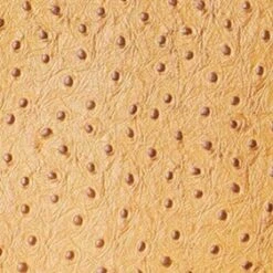 SHIRLEY LEATHER BAG | WALNUT OSTRICH EMBOSSED -Fashion Shop STAUD SHIRLEYLEATHER TOTE WALNUT FALL 23 ECOM 1 442f47f3 20ad 4869 b5ab e9da76c2f7a5