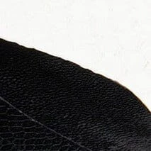 SLOANE HEEL | BLACK WHITE SNAKE EMBOSSED 9 SLOANE HEEL | BLACK WHITE SNAKE EMBOSSED - Image 9