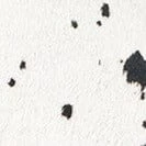 WALLY MULE | BLACK & WHITE HAIRCALF 5 WALLY MULE | BLACK & WHITE HAIRCALF - Image 5